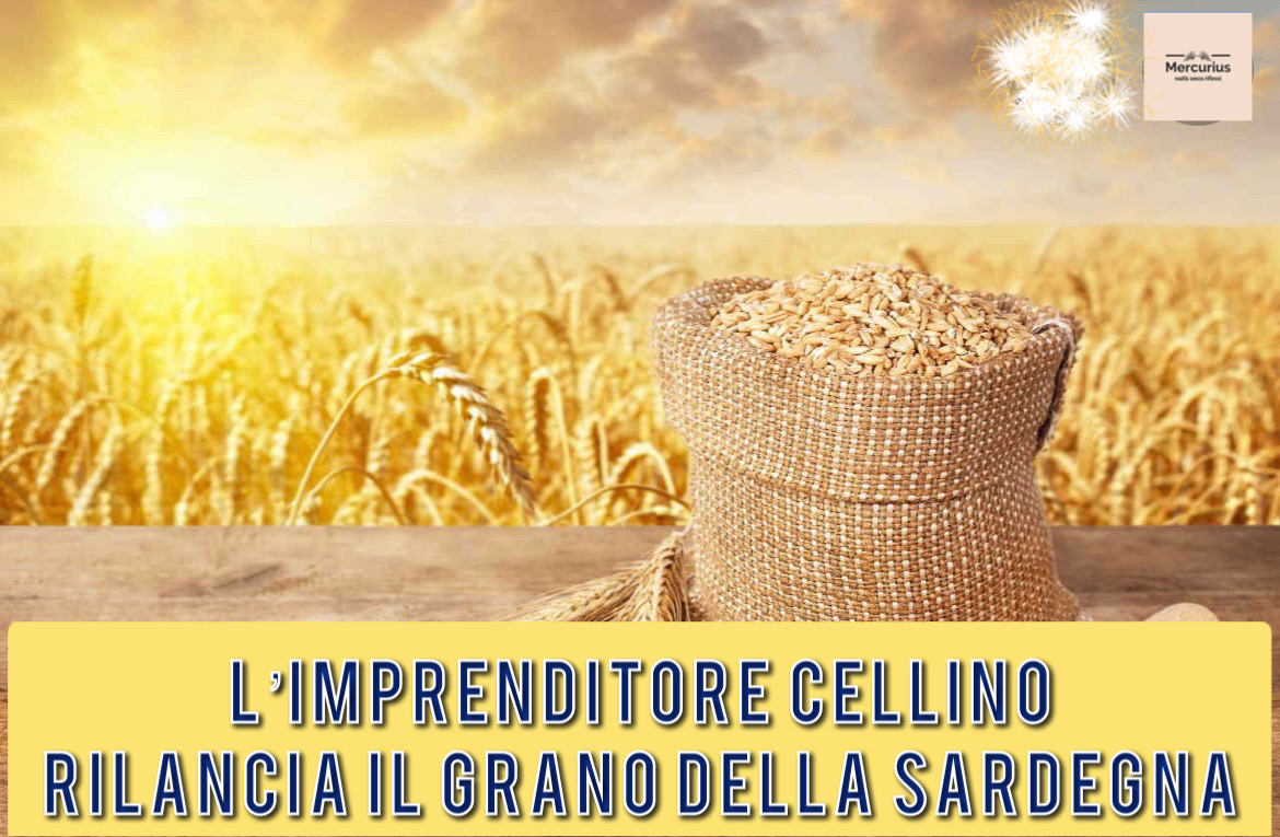 La sfida dei Cellino alla crisi: rilanciare il grano della Sardegna