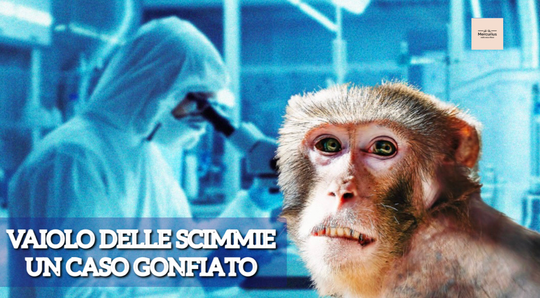 Vaiolo delle scimmie: un caso gonfiato, mortalità inferiore alla varicella. Gli esperti: «Nessuna pandemia»